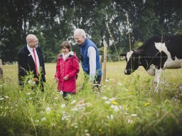 Natur-Blumenwiese Bislicher Inseln Xanten 0624